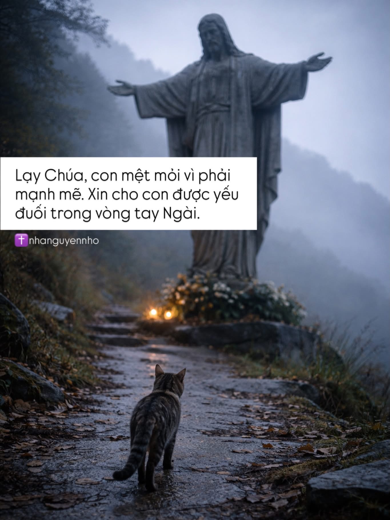 Lạy Chúa, Xin Cho Con Được Yếu Đuối…
